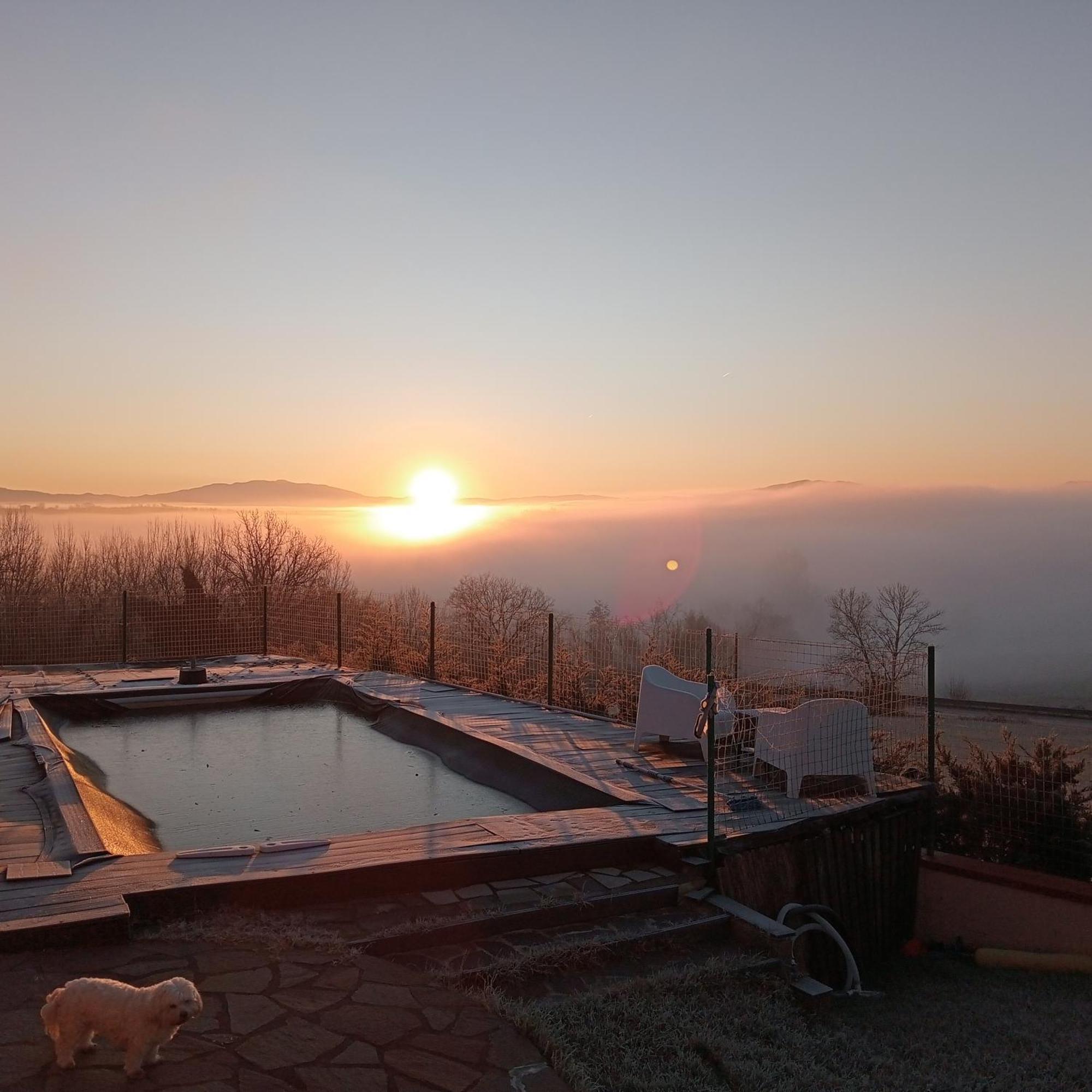 Il Marrondindo Bed & Breakfast Galliano Екстер'єр фото